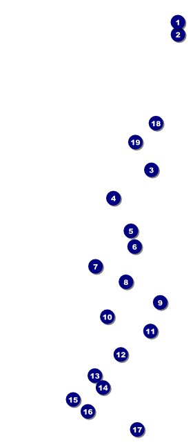 Chinese New Year Rat VIP Pass Front Field Markers