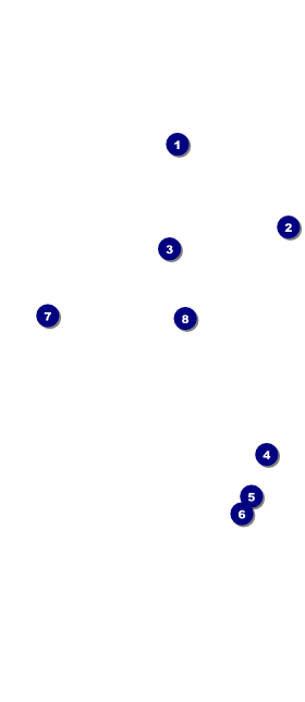Conference Series: All Purpose Triangles VIP Event Badge Large Front Field Markers