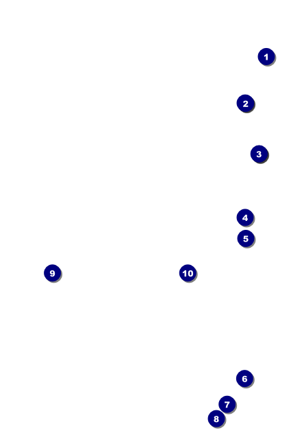 Disco Dance Festival VIP Event Badge Small Front Field Markers