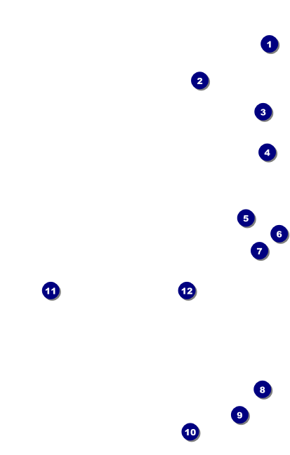 Football Green VIP Event Badge Medium Front Field Markers