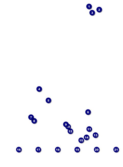 Chinese New Year Logo Flyer Front Field Markers