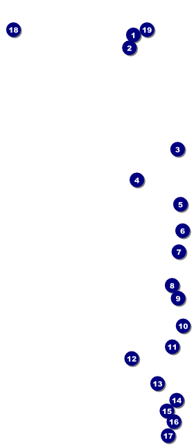 Football Red VIP Event Badge Large Front Field Markers