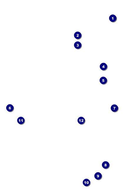 Fourth of July Hometown VIP Event Badge Small Front Field Markers