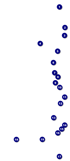 Lymphoma  VIP Event Badge Large Front Field Markers