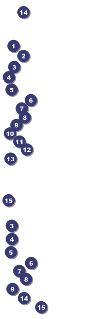 New Mexico General Admission Ticket Front Field Markers