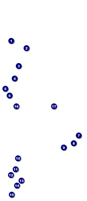 Astrology VIP Event Badge Large Front Field Markers