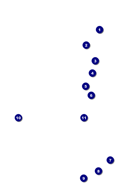Banjo and  Guitar VIP Event Badge Medium Front Field Markers