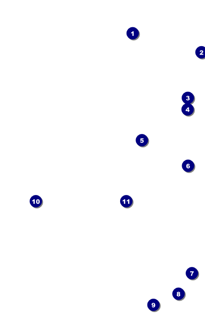 Bike VIP Event Badge Medium Front Field Markers