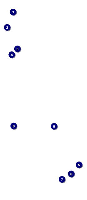 Blues Cruise VIP Event Badge Large Front Field Markers
