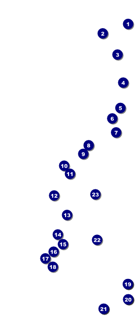 Blues VIP Event Badge Large Front Field Markers