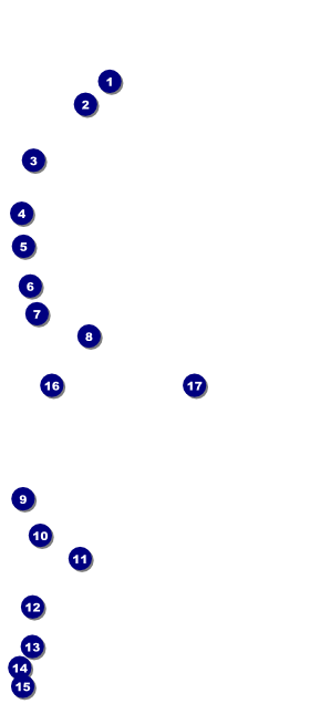Camouflage VIP Event Badge Large Front Field Markers