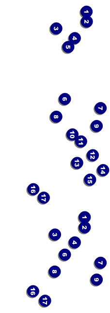 Chicago Event Ticket Front Field Markers
