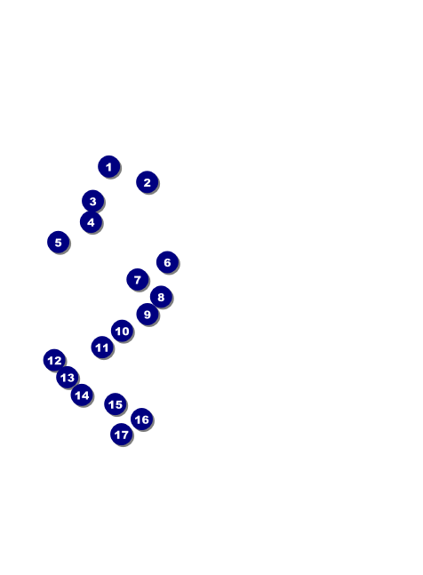 South Carolina Invitation Front Field Markers