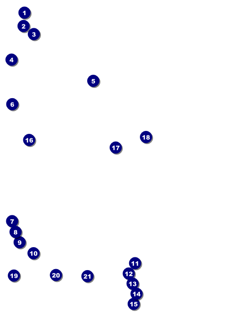 Roller Derby Pink Leopard Invitation Front Field Markers