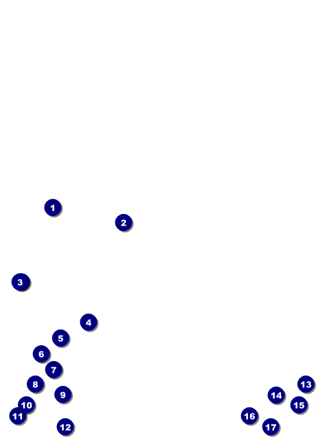 Golden Ornament Invitation Front Field Markers