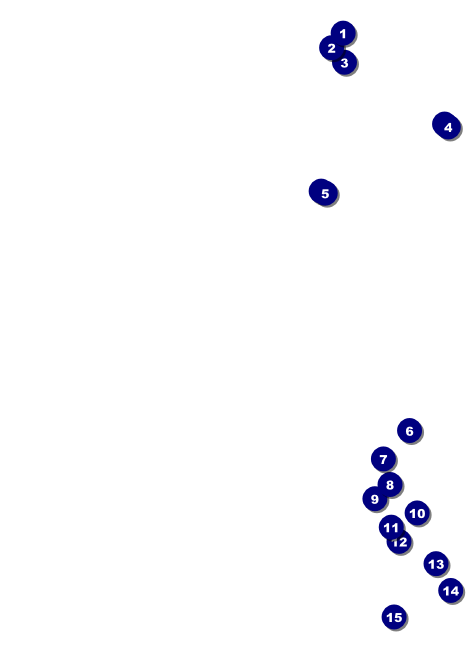 Chinese New Year Celebration Invitation Front Field Markers