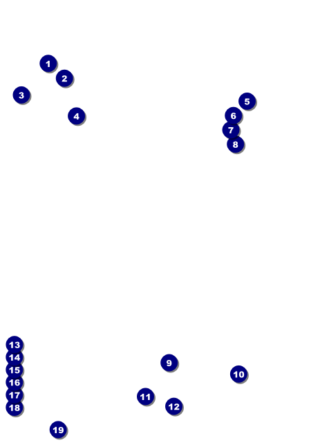 Animal Rescue Invitation Front Field Markers