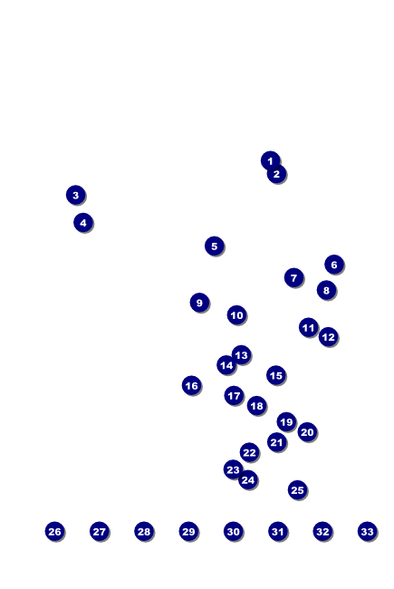 New York Poster Front Field Markers