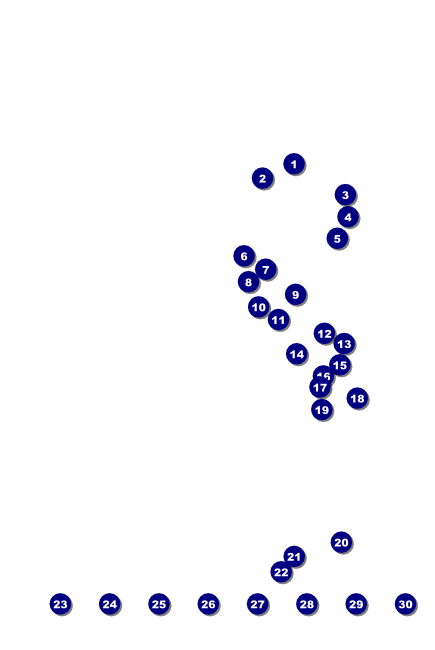 Texas Poster 002 Front Field Markers