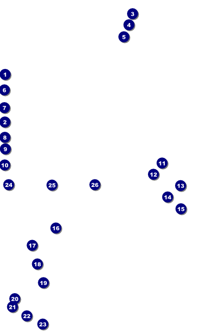 Contemporary Mixed Martial Arts Poster Front Field Markers