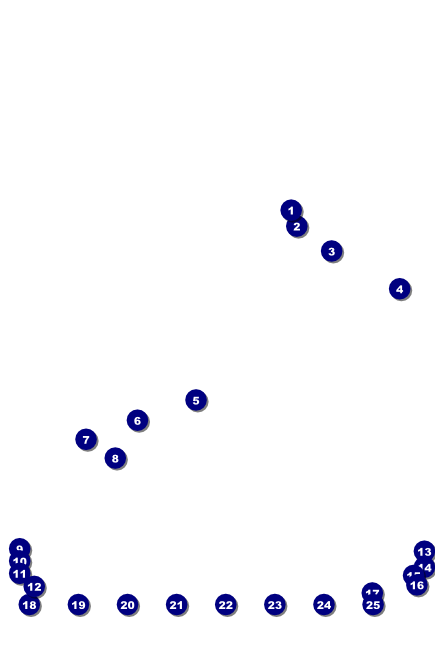 BBQ Backyard Logo Poster Front Field Markers