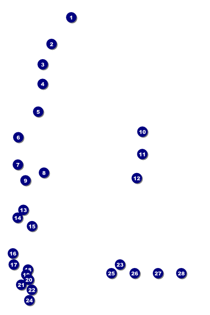 St. Patrick's Day Plaid Poster Front Field Markers