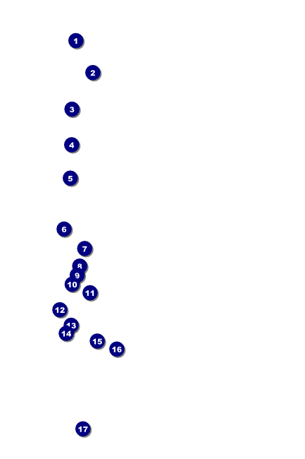 Acoustic Strings Poster Front Field Markers