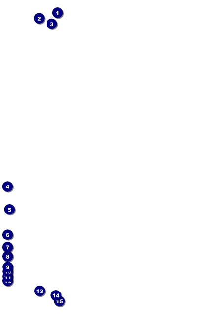 Chinese New Year Horse Poster Front Field Markers