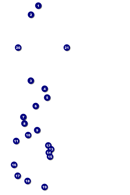 Sports Poster 002 in Green and Gold Front Field Markers