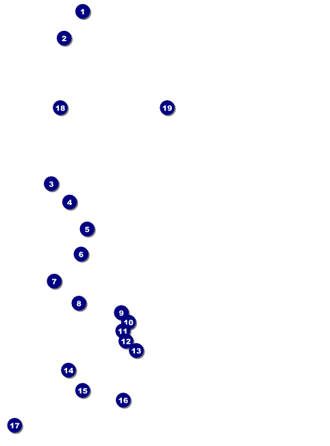 Sports Flyer 002 in Green and Gold Front Field Markers