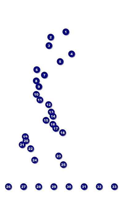 Bowling Poster with Image Upload Front Field Markers