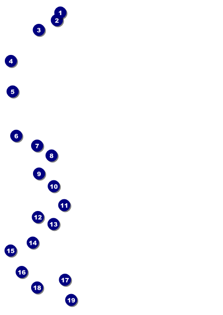 Bucking Bronco Rodeo Postcard Front Field Markers