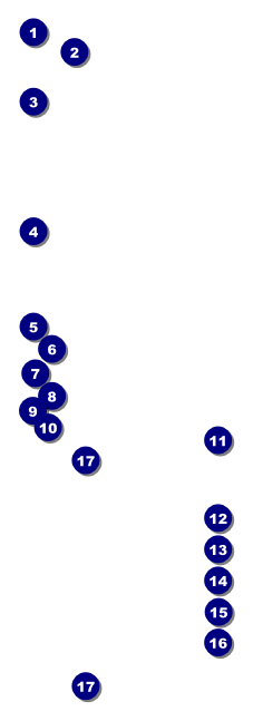 Birthday Party Green Raffle Ticket Front Field Markers