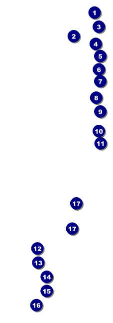 Oakland Raffle Ticket Front Field Markers