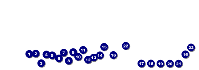 Salt Lake Raffle Front Field Markers
