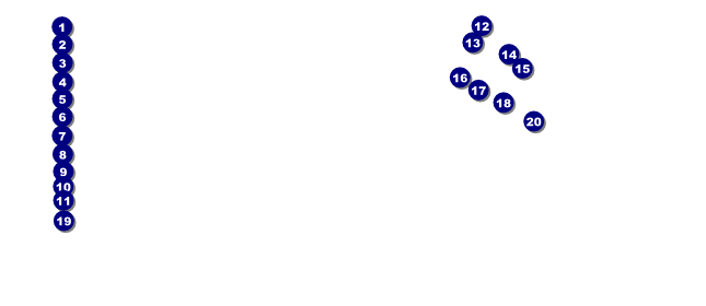 California VIP Front Field Markers