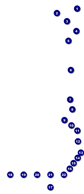 St. Patrick's Day Party VIP Pass Front Field Markers