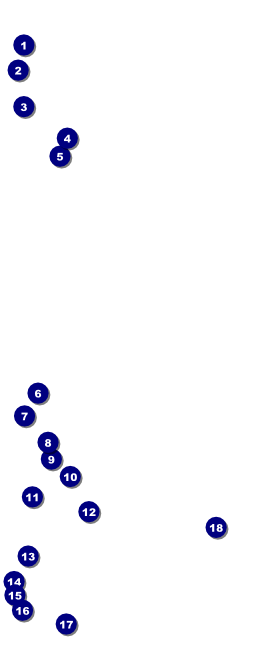 Cincinnati Skyline VIP Pass Front Field Markers