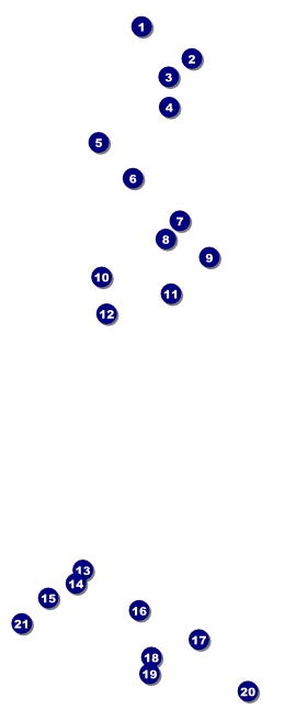 Philadelphia VIP Pass (black and white) Front Field Markers