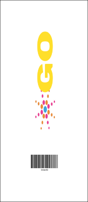 Bright Ideas Graduation VIP Pass logo Product Back