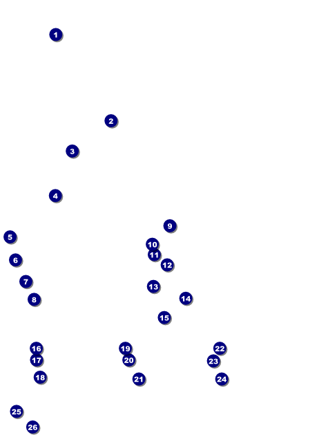 Astrology Flyer Front Field Markers