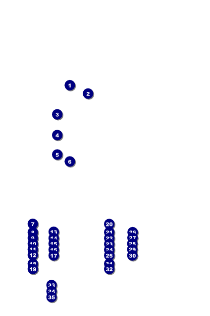 Track and Field Poster Front Field Markers
