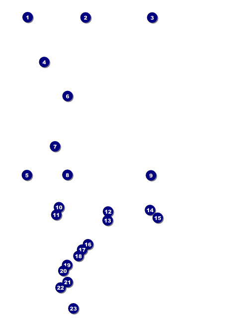 Class Reunion Flyer Front Field Markers