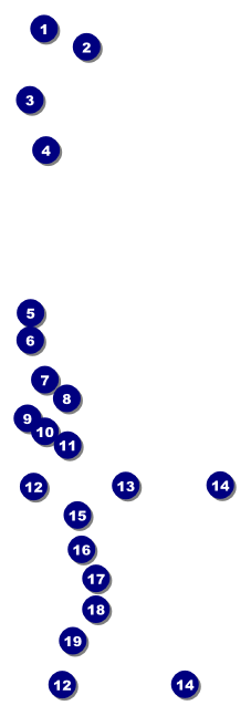 Magic Show Raffle Ticket Front Field Markers