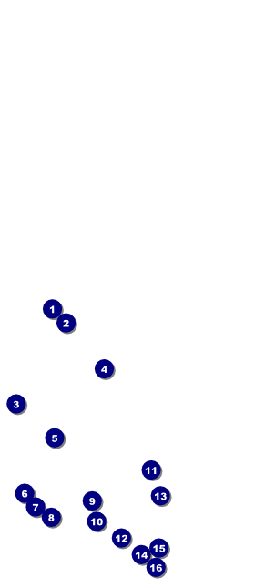 Dinosaur VIP Pass Front Field Markers