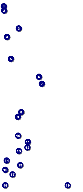Christmas Carol VIP Pass Front Field Markers
