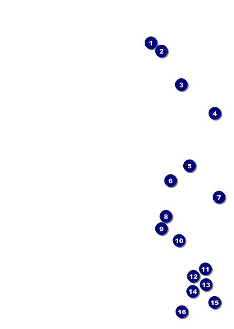 Classic Black Pinstripe Club Flyer Front Field Markers