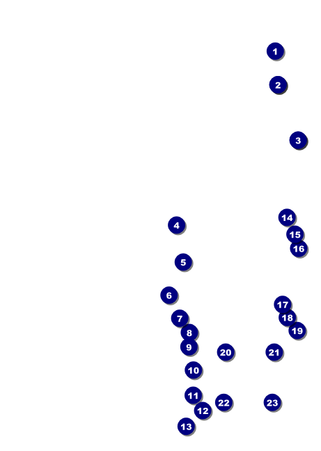 Disco Dance Festival Club Flyer Front Field Markers