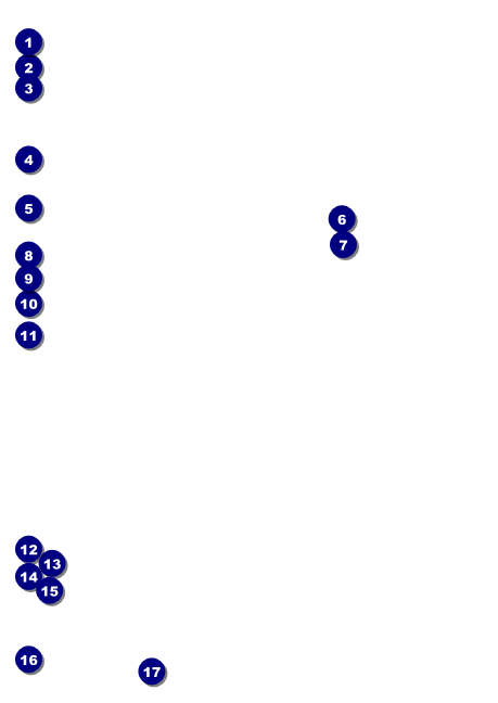 Indianapolis Basketball Club Flyer Front Field Markers