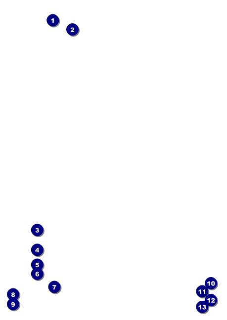 Zodiac Club Flyer Front Field Markers
